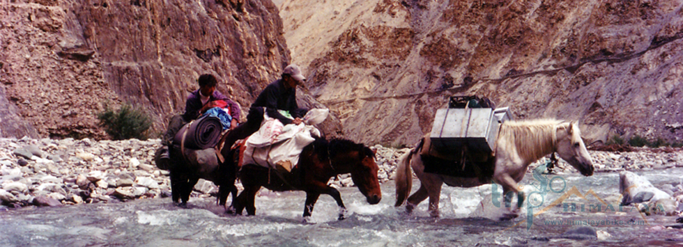Markha Valley Trekking