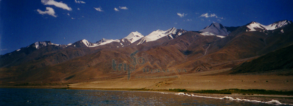 Tsomoriri  Lake Jeep Safari Tour